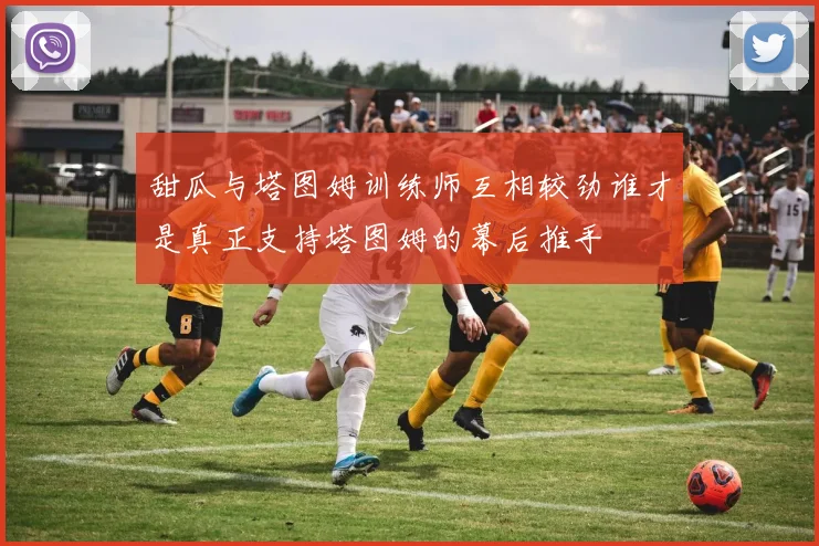 甜瓜与塔图姆训练师互相较劲谁才是真正支持塔图姆的幕后推手