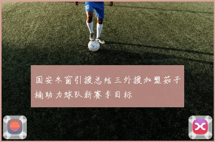 国安冬窗引援总结三外援加盟茹子楠助力球队新赛季目标