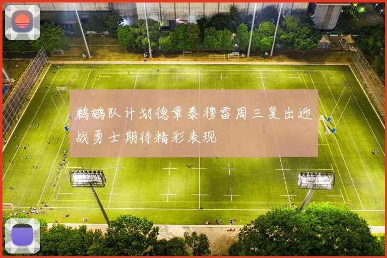 鹈鹕队计划德章泰穆雷周三复出迎战勇士期待精彩表现